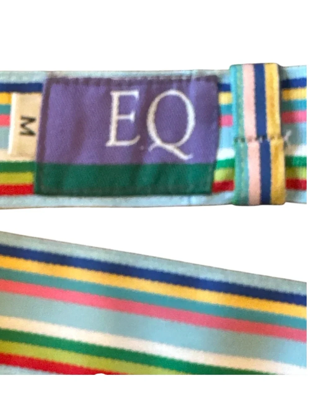 EQ Equestrian Ribbon D-Ring Belt Blue Multi Stripe Horse Logo Size M